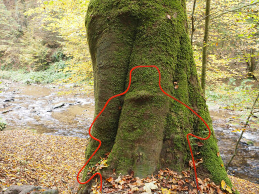 Einstieg in die Klause